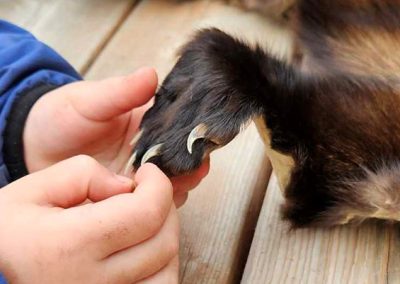 Les petits naturalistes