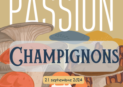 Passion champignons