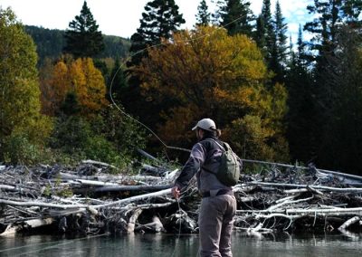 La pêche c’est l’faune!