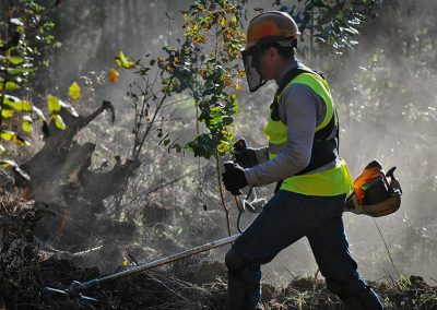 Visite d’aménagement forestier