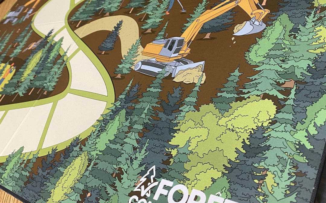 À la découverte de l’aménagement forestier
